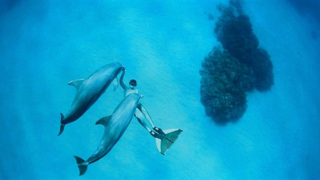 Image from the documentary short BROKEN BREATH showing champion free diver Mike Maric and dolphins.